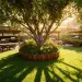 Bara Boutique Living